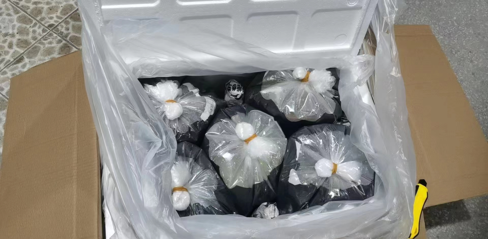 Transportation of fresh and live goods